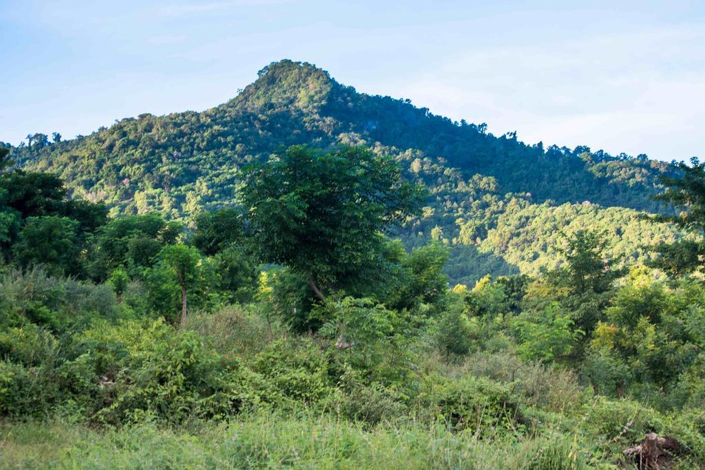 Hobbit'S House Homestay Banyuwedang Buitenkant foto